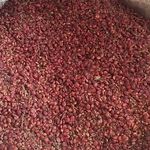 فروشنده عمده و خرده سماق کوهی تبریز