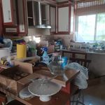 شرکت خدماتی پاک آوا پایتخت