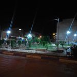 بوستان چکاوک