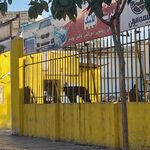 اتو کارواش امیر