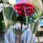 گلفروشی کادو باکس