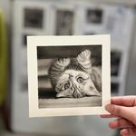 آموزش نقاشی و طراحی سعیده شاهوردی