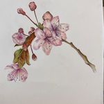 آموزش نقاشی و طراحی سعیده شاهوردی