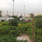 بوستان زندگی
