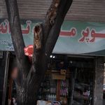 گیم نت نارنج