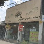 ماهی سرای ماهی طلایی