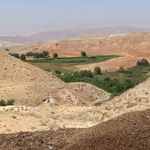 چمن متحرک چملی