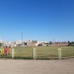زمین چمن فوتبال شهرداری