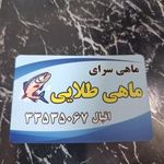 ماهی سرای ماهی طلایی