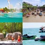 آژانس مسافرتی الوین پرواز