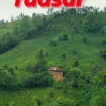 شیک و پیک اشکان