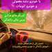 آموزش رانندگی حرفه ای و خصوصی بانو