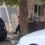 کفاشی عدالت