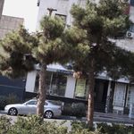 بانک سپه شعبه سعادت آباد