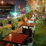 کافی شاپ شکوفه 