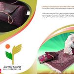 خیریه آینده برتر