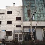 دکتر فریبرز امینی