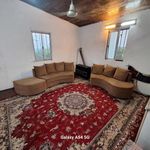 خانه باغ امیری