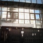 دکتر نوشین نظری