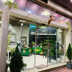 طباخی ساوا