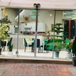طباخی ساوا