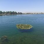 سراب نیلوفر کرمانشاه