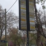 دکتر رامین رجبی   جراح مغز و اعصاب