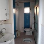 خانه باغ امیری