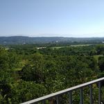 خانه باغ امیری