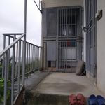 خانه باغ امیری