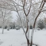 توالت عمومی پارک بهشت