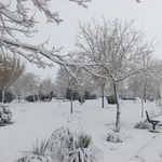 توالت عمومی پارک بهشت