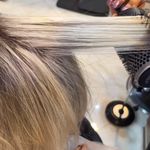 خدمات تخصصی رنگ و لایت و کوتاهی مو هستی