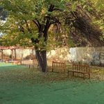 دبستان آفرینش نو