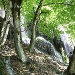 آبشار پیر غار