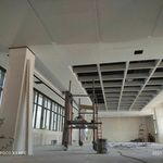 مجتبی حسینی