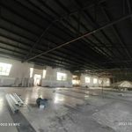 مجتبی حسینی