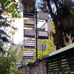 دکتر نیلوفر صفاریان