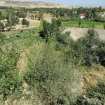 مسجد شام اسبی