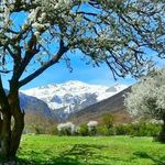 دهکده گردشگری زانوس