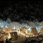 دهکده گردشگری زانوس