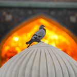 آژانس مسافرتی خوش سفر