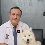 کلینیک دامپزشکی دکتر پُرکار