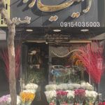 گل فروشی ایلیا رز