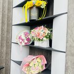 سونوگرافی و رادیولوژی دکتر فرشته دهقان