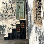 راحله عابدی