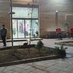 فست فود آبشار