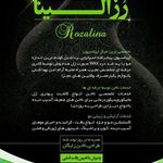 سالن زیبایی رزالینا