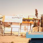 نمایشگاه هانی