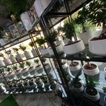 گلسرای سادات